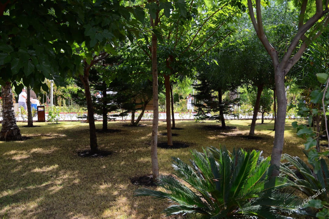 Delphin Imperial Hotel Delphin Imperial