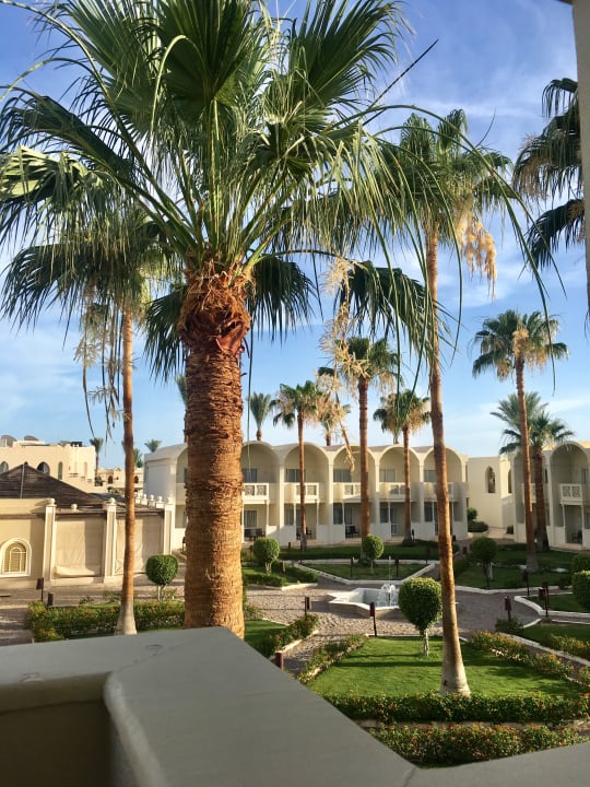 Gartenanlage Reef Oasis Beach Resort