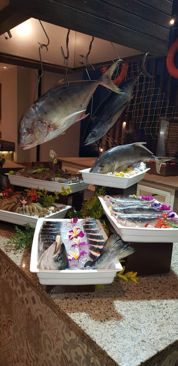 Gastro JAZ Elite Casa del Mar Beach