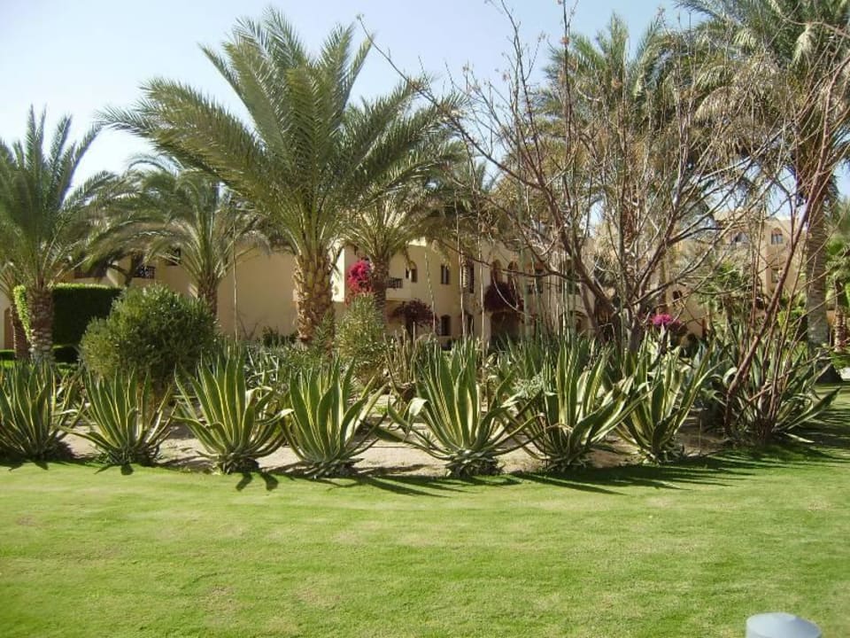 Agavengarten Steigenberger Coraya Beach - Adults only