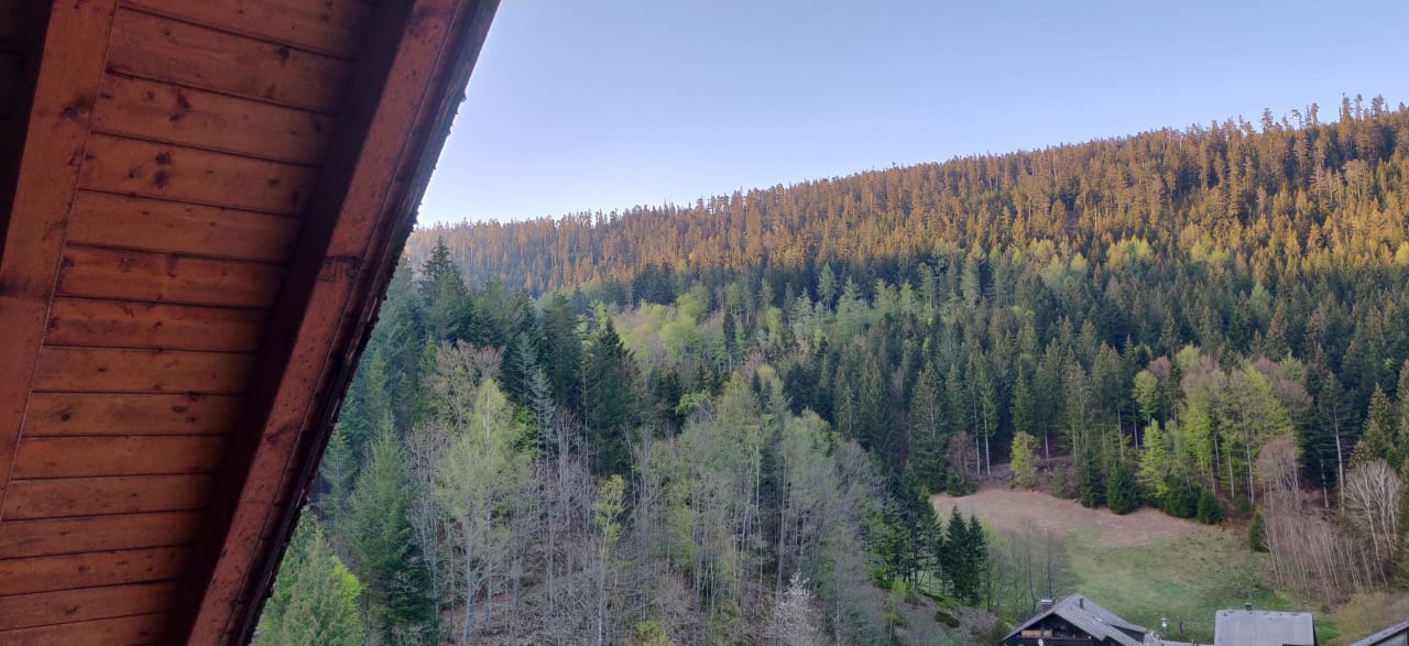Ausblick Wellnesshotel Forsthaus Auerhahn