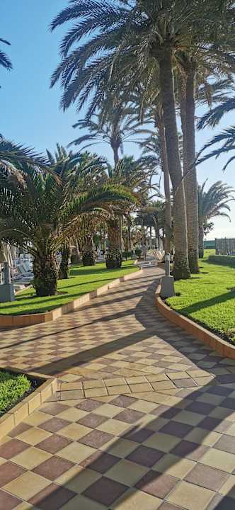 Gartenanlage Hotel Riu Palace Tres Islas