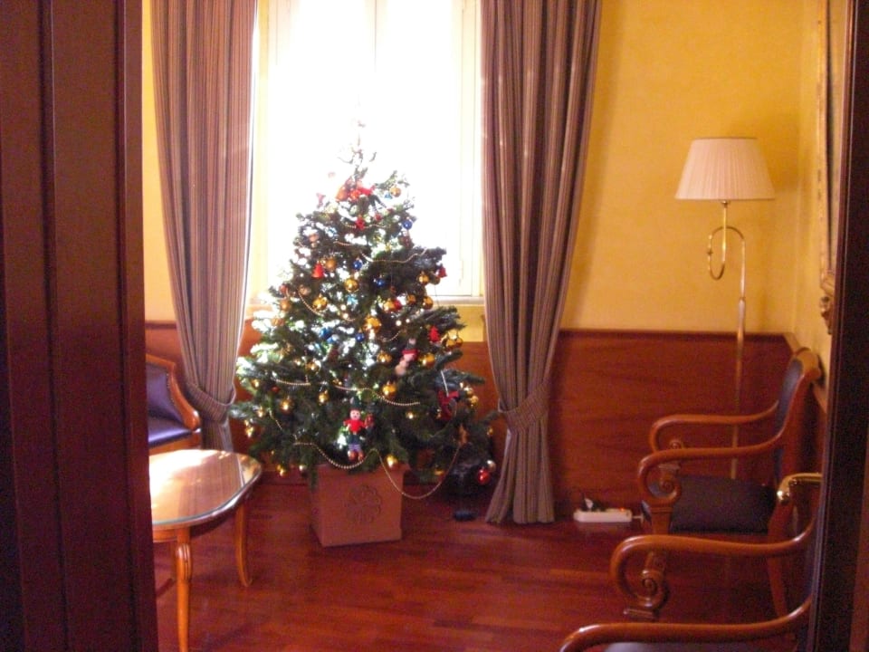 Рождественская ель в лаунже отеля Hotel Albergo Abruzzi
