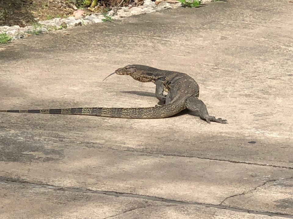 Sonstiges Hotel Pimalai Resort & Spa