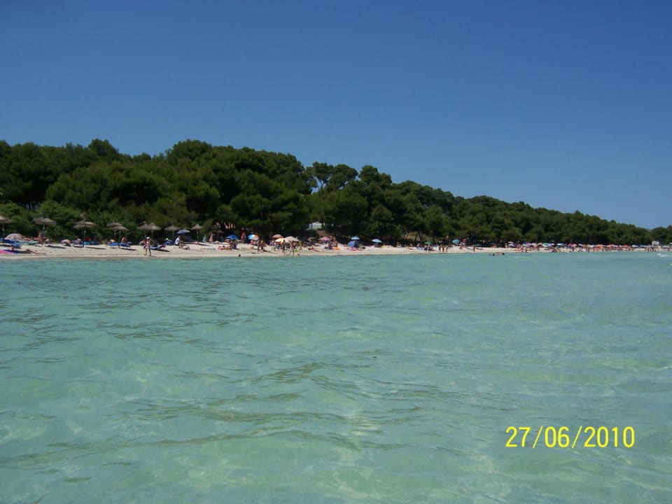 Strand, ca. 40 Meter vom Ivory Playa entfernt Aparthotel Ivory Playa