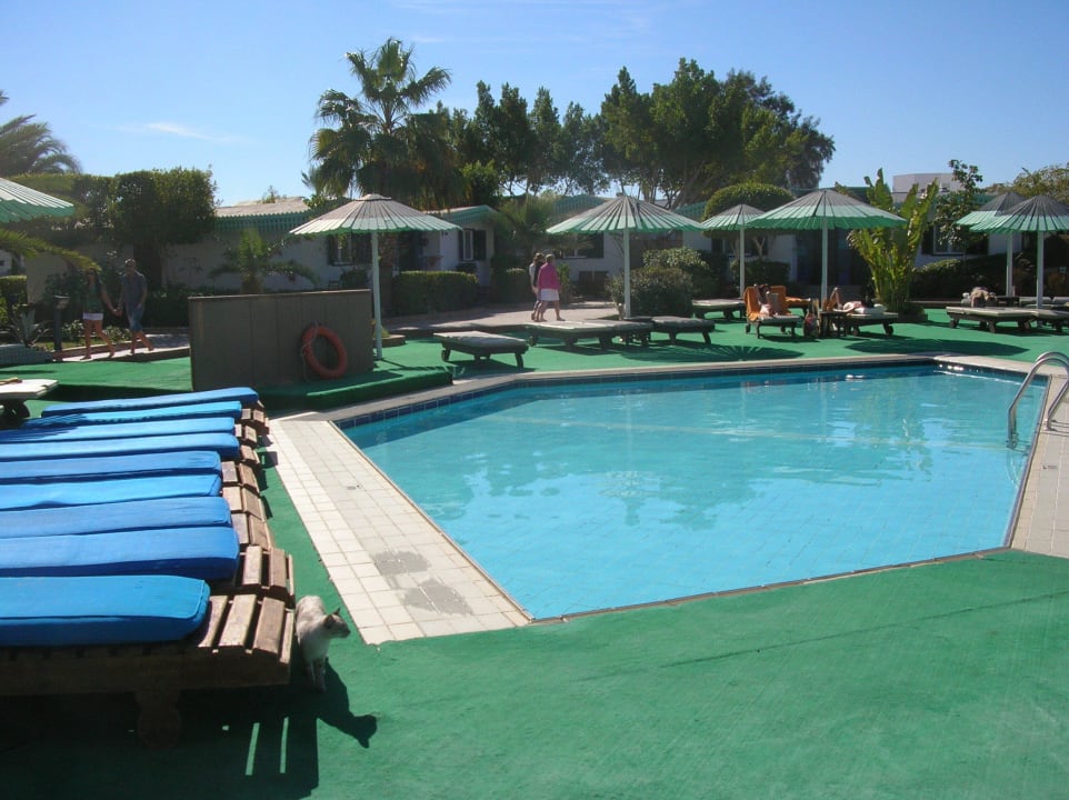 Pool Ghazala Beach