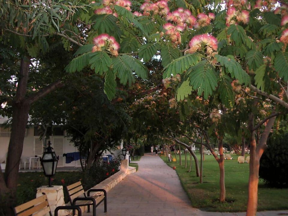 Ist das nicht schön? Und so sieht es überall aus. Labranda Alantur Resort