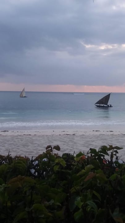 Morgenidylle  Hotel Southern Palms Beach Resort