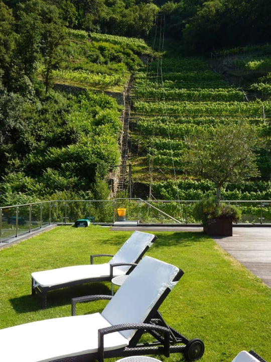 Dachterrasse mit Weinberg Hotel Sittnerhof