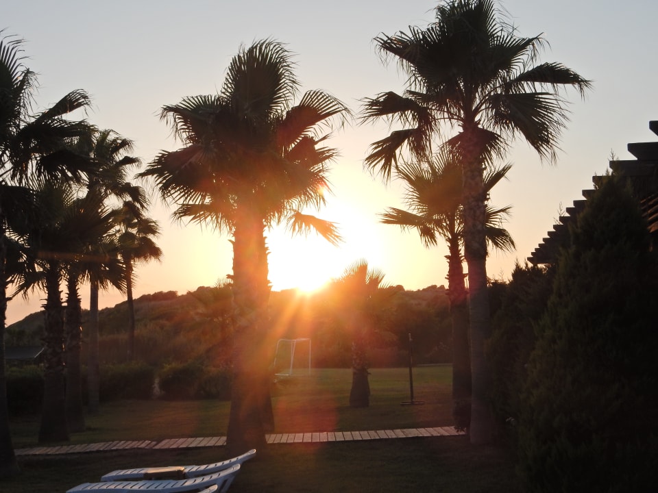 Gartenanlage Royal Atlantis Beach Hotel