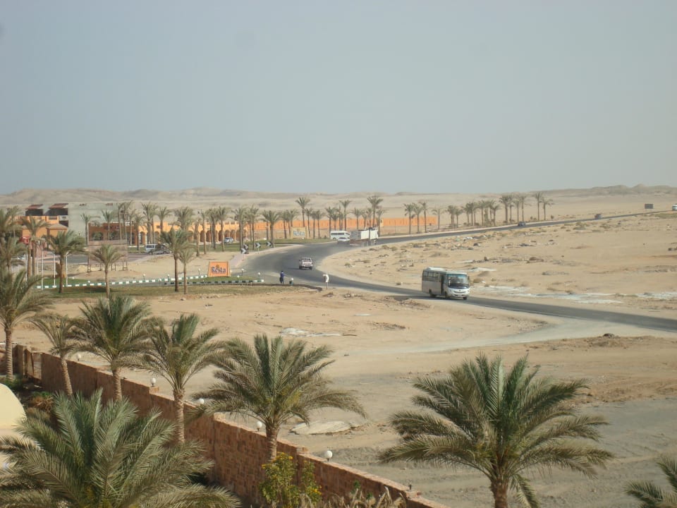 Halaieb We Shalatein Jaz Dar EL Madina