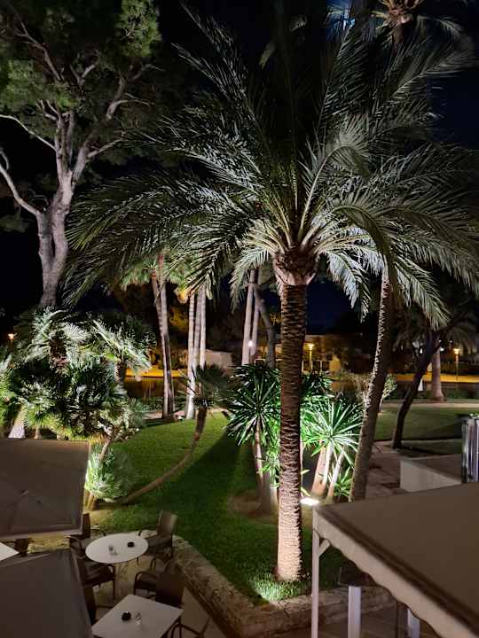 Gartenanlage allsun App.-Hotel Orquidea Playa