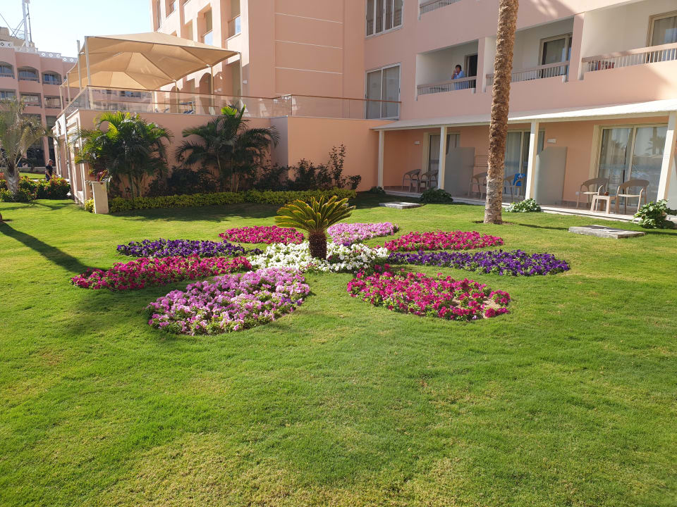 Gartenanlage Beach Albatros Resort