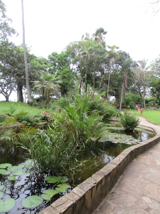 Gartenanlage Baobab Beach Resort & Spa