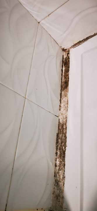 Zimmer Venus Star Resort - FKK Nudist Swingers - Only Couples