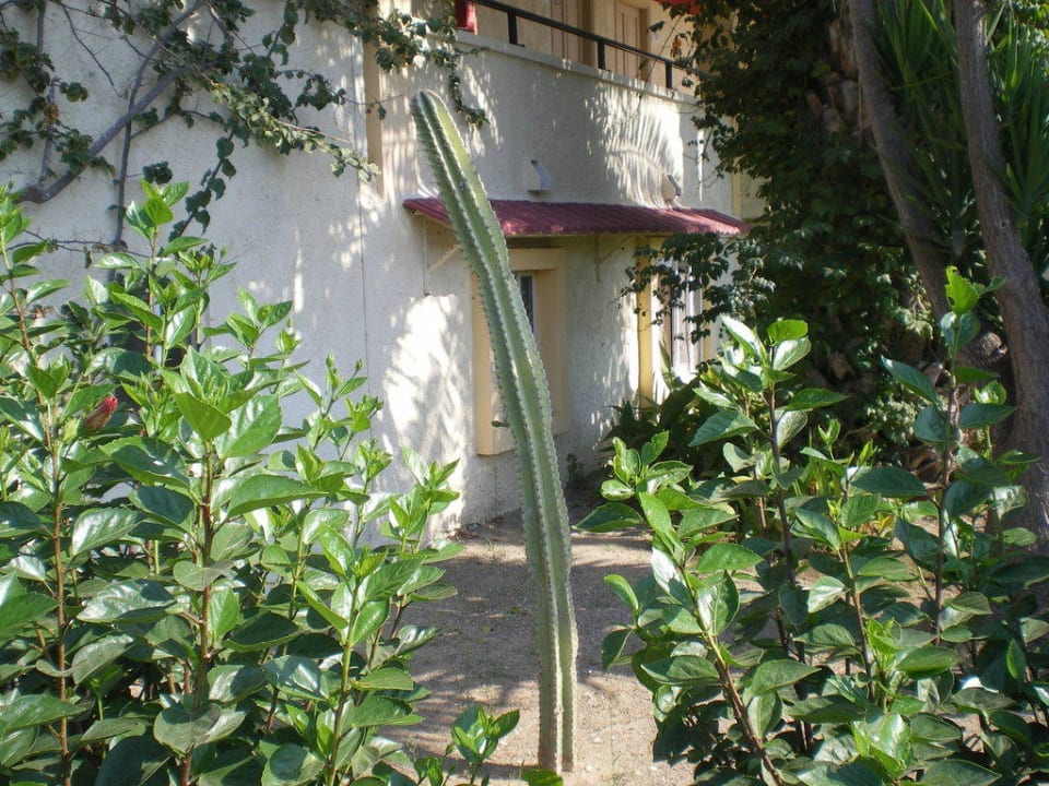 Kaktee Apollon Hotel