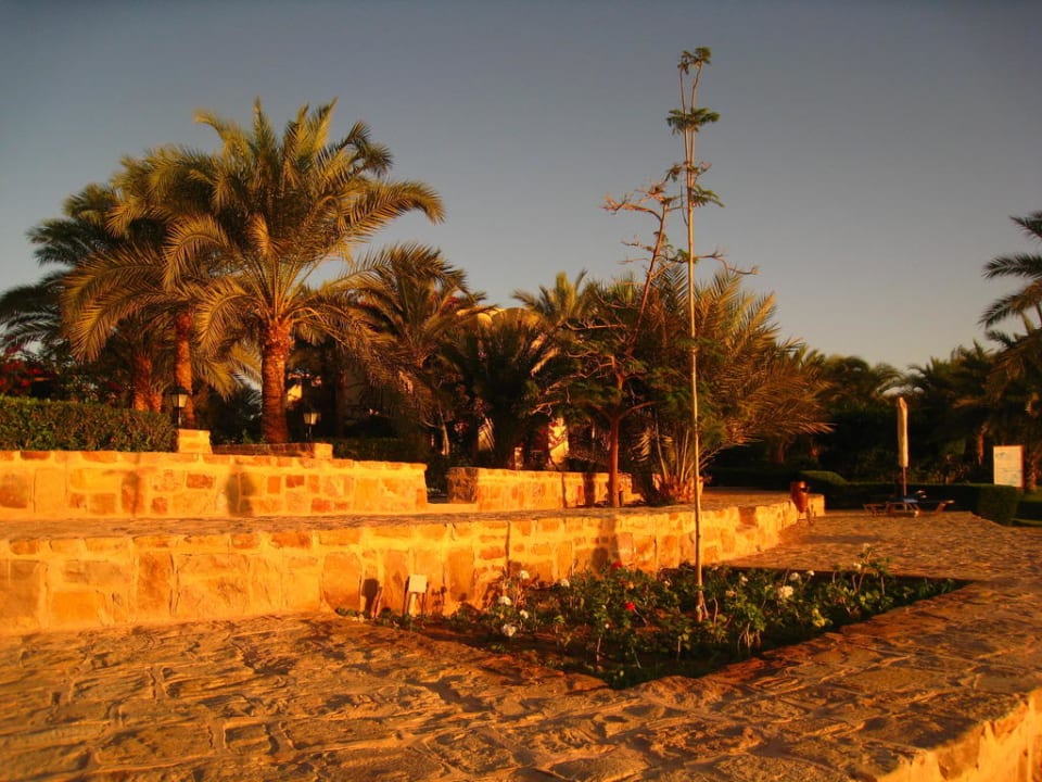 Hotelanlage Steigenberger Coraya Beach - Adults only