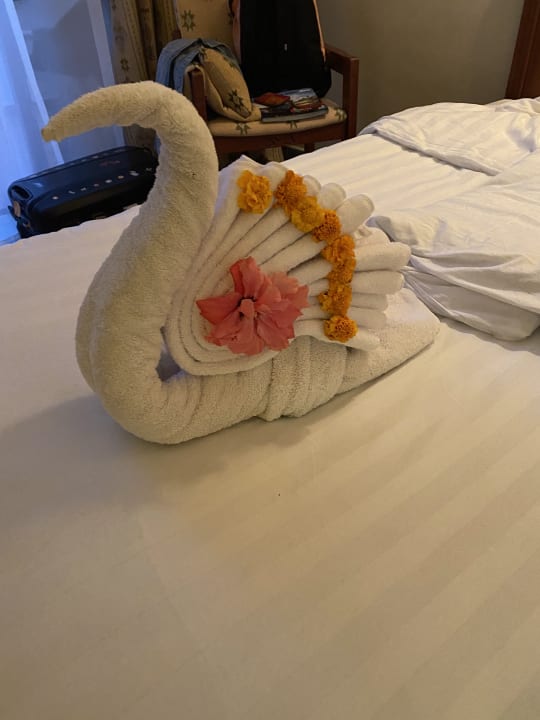 Zimmer Three Corners Equinox Beach Resort