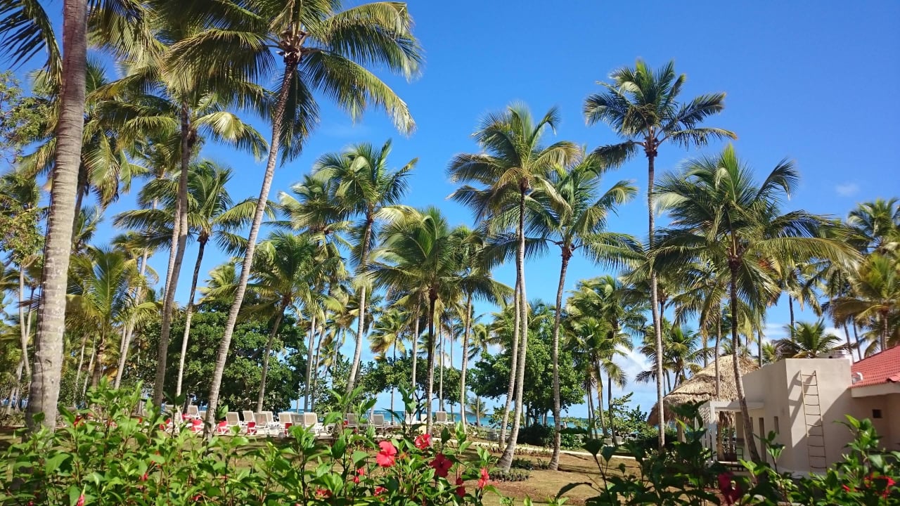 Cooee Garten Wyndham Alltra Samana