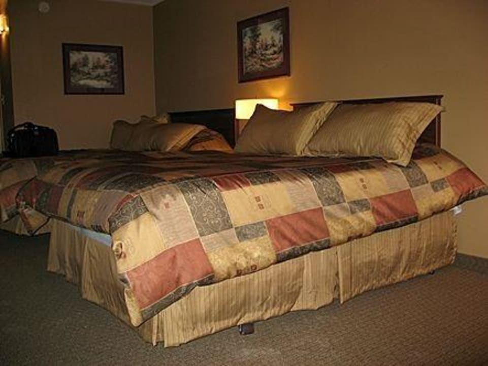 Zimmer Ramada Kingston Hotel and Conference Centre