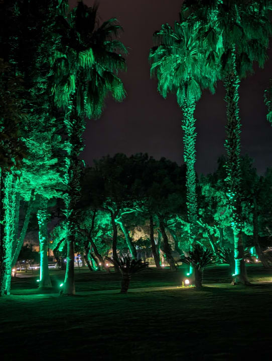 Gartenanlage TUI MAGIC LIFE Beldibi +16