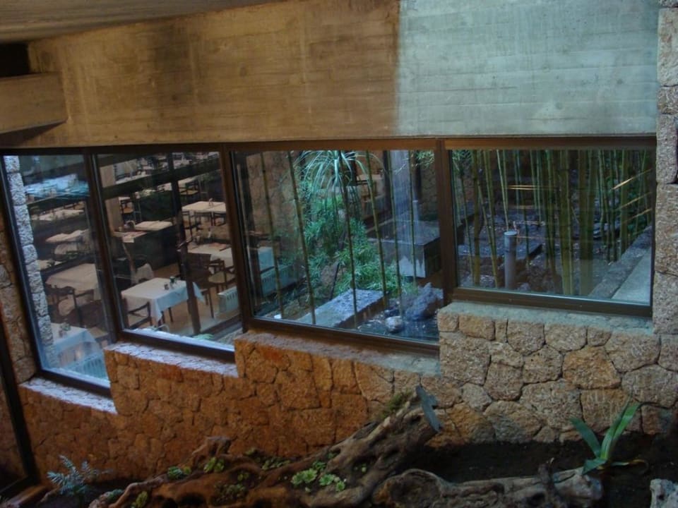 Bambusgarten im Hotel Bluesun Hotel Soline