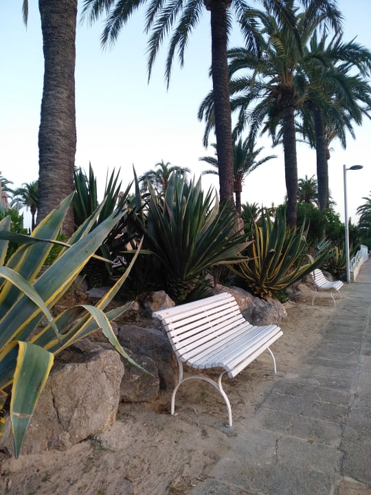 Gartenanlage VIVA Eden Lago