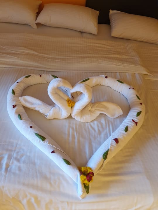 Zimmer Arabia Azur Resort