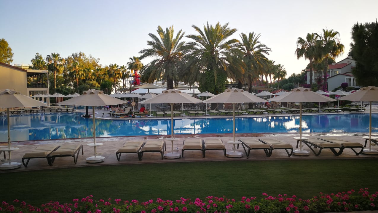 Pool Arum Barut Collection