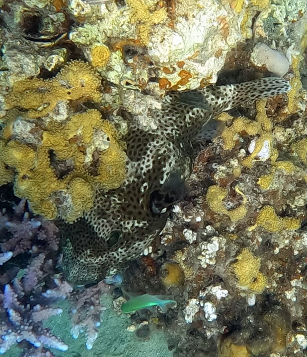 Sport & Freizeit Brayka Bay Resort