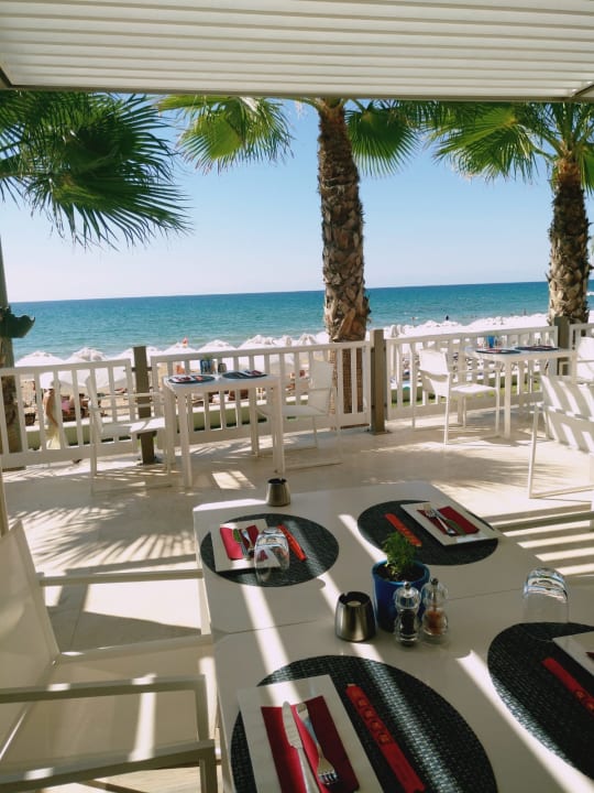 Gastro Acanthus Cennet Barut Collection