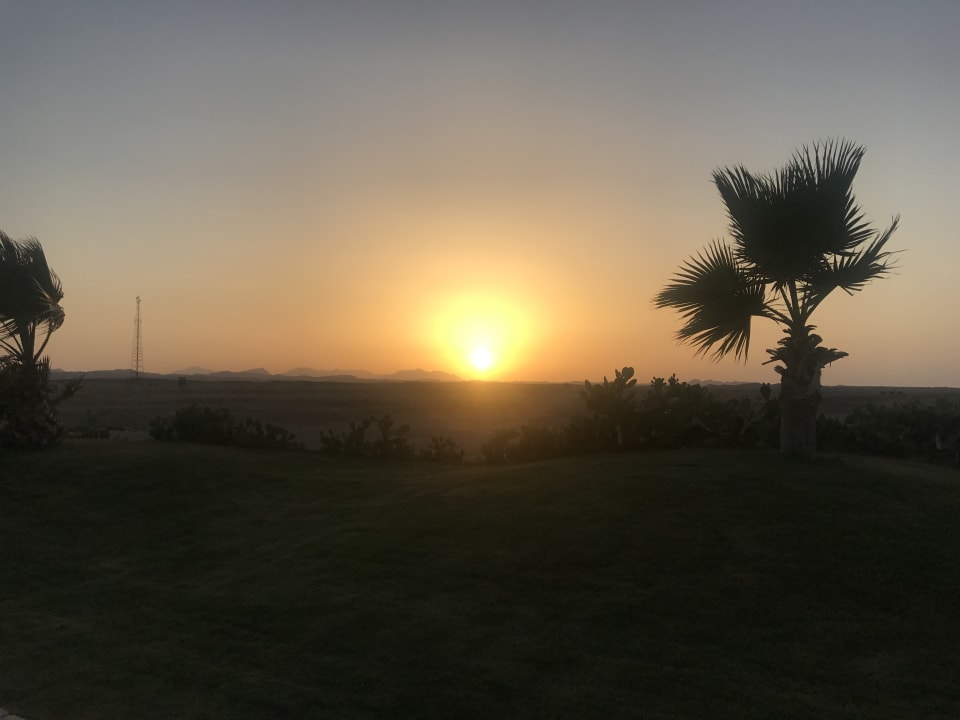 Gartenanlage Three Corners Sea Beach Resort