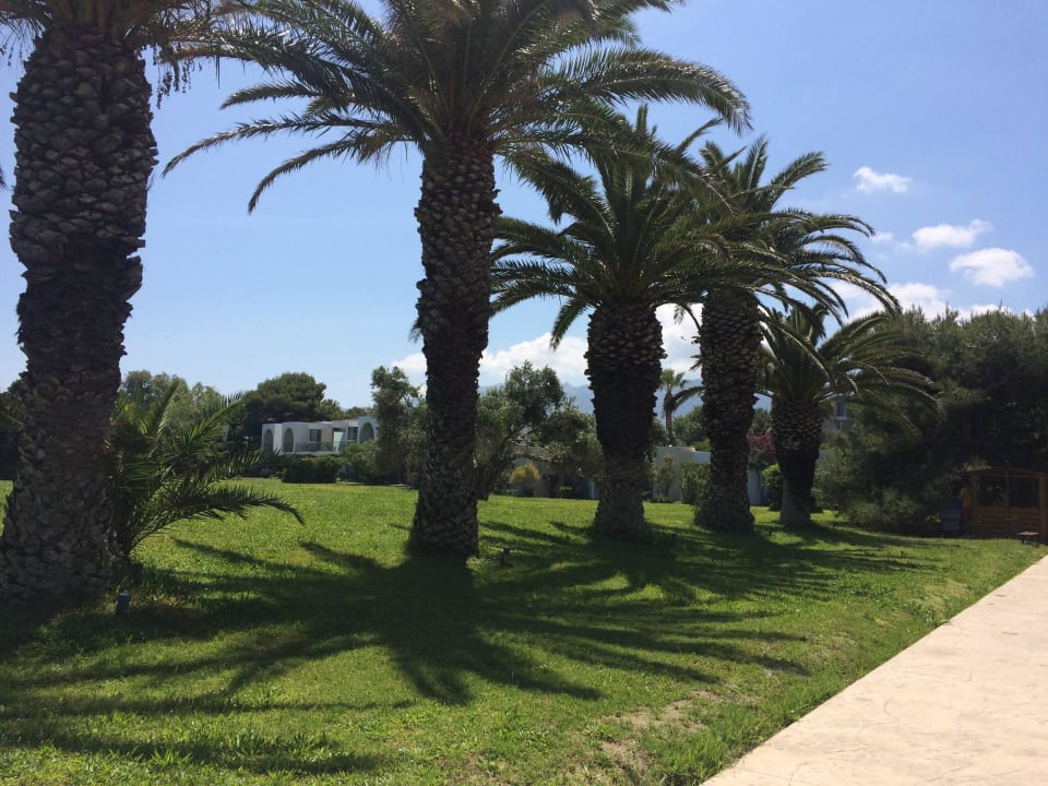 Weg vom Hotel zum hoteleigenen Strand Caravia Beach Hotel