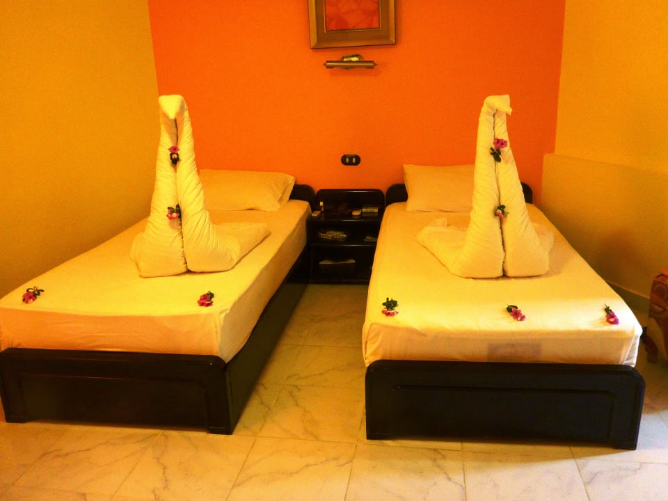 Zimmer Hotel Coral Garden