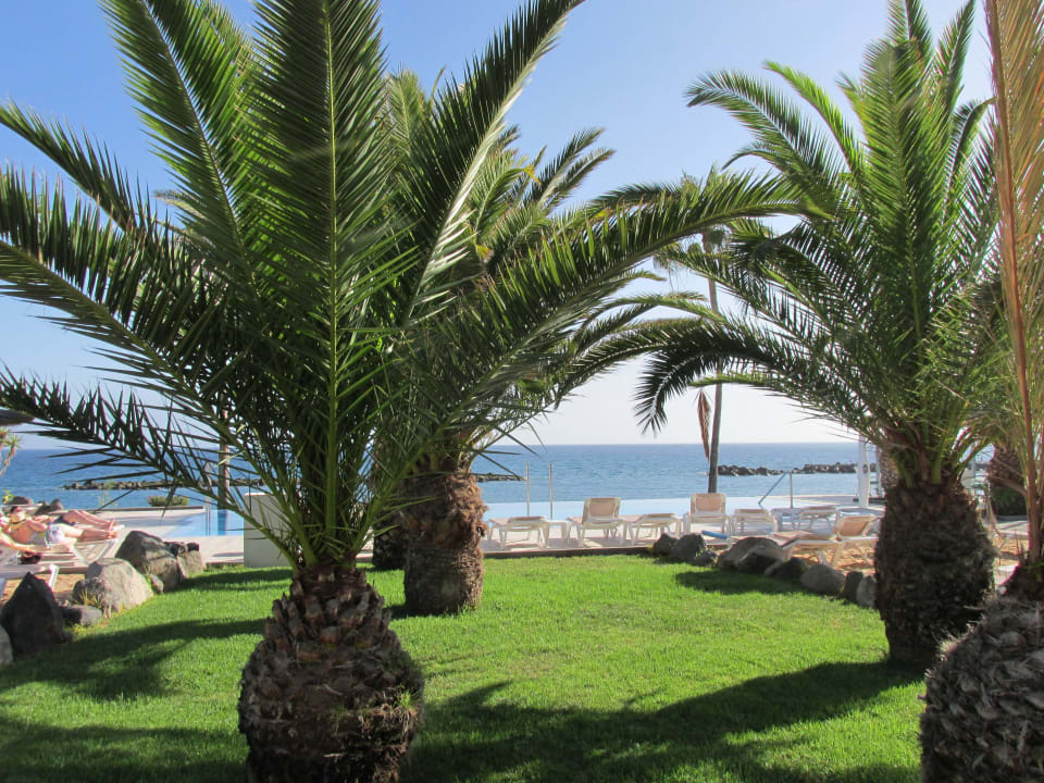 Toller Ausblick  Hotel Riu Arecas - Adults only