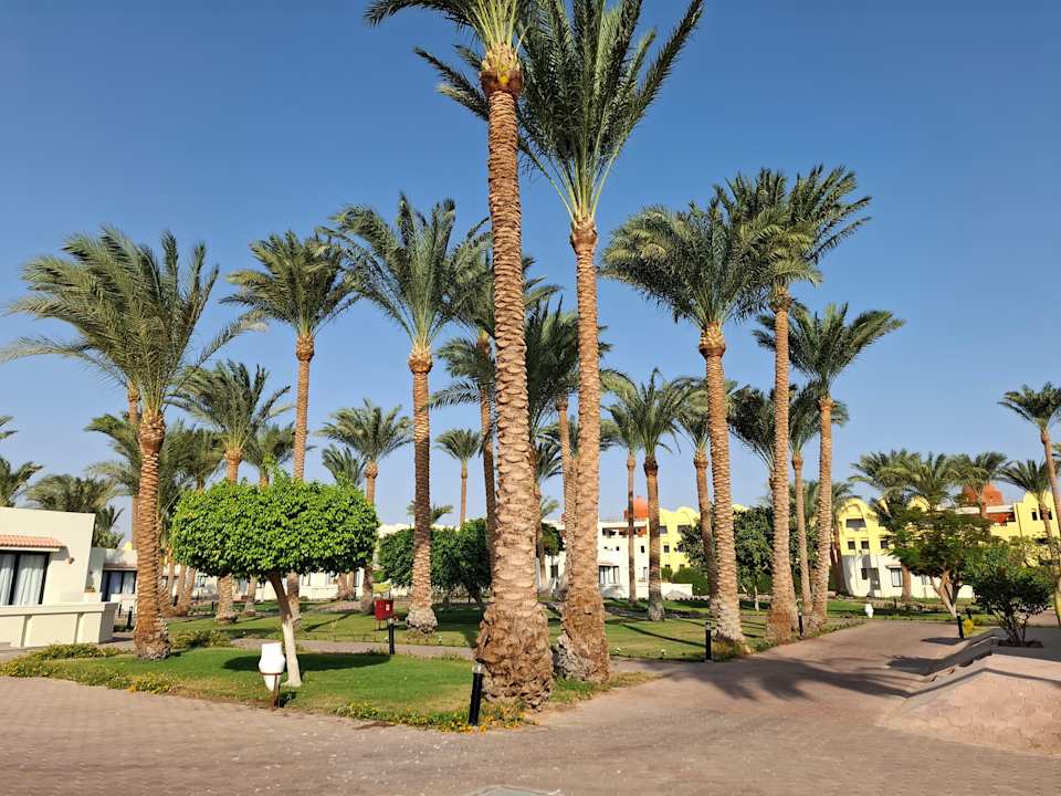 Außenansicht Pharaoh Azur Resort