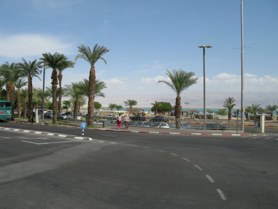 Вид из отеля Royal Hotel Dead Sea