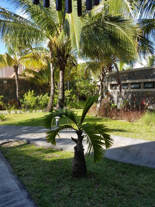 Außenansicht Crystals Beach Resort Belle Mare, a member of Radisson Individuals