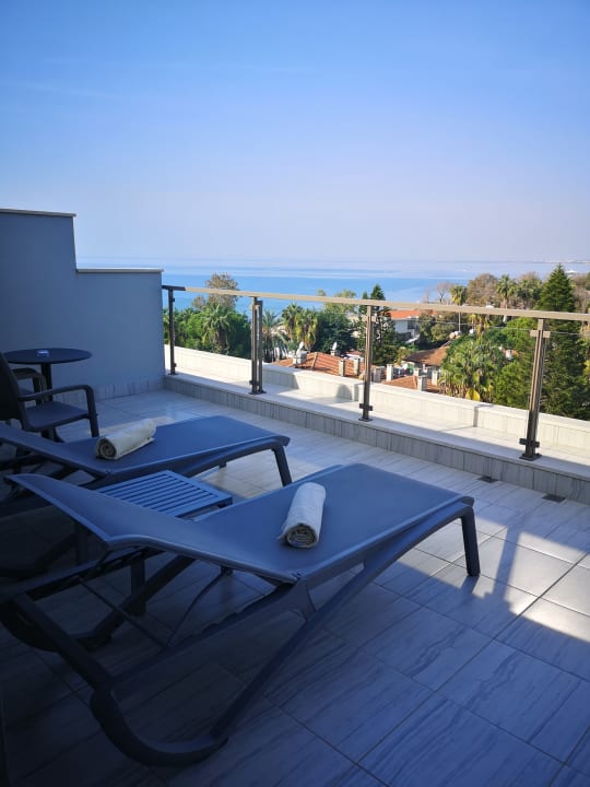 Zimmer Acanthus Cennet Barut Collection