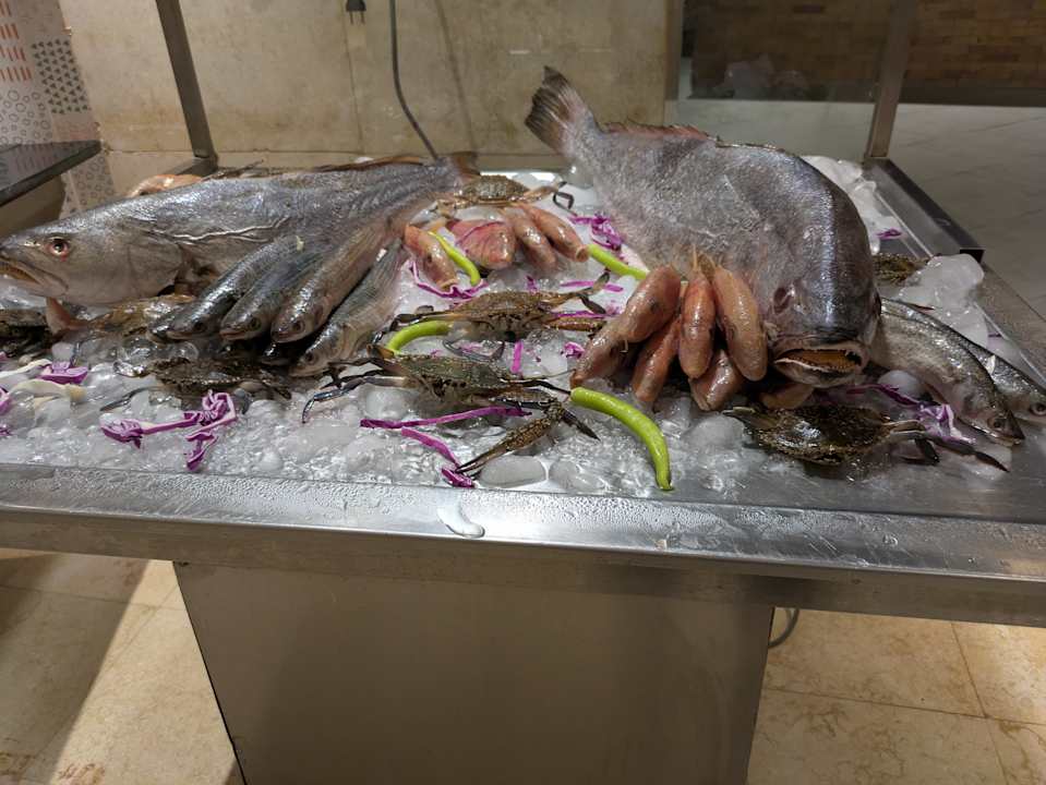 Gastro Pickalbatros Sands Hotel - Port Ghalib