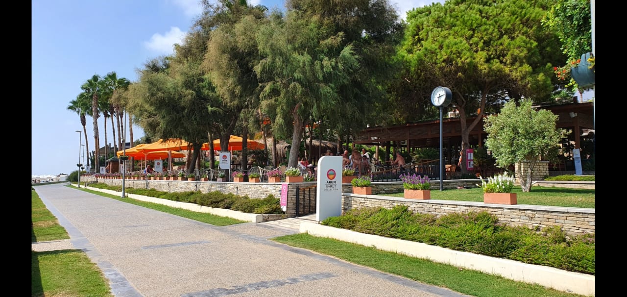 Sonstiges Arum Barut Collection