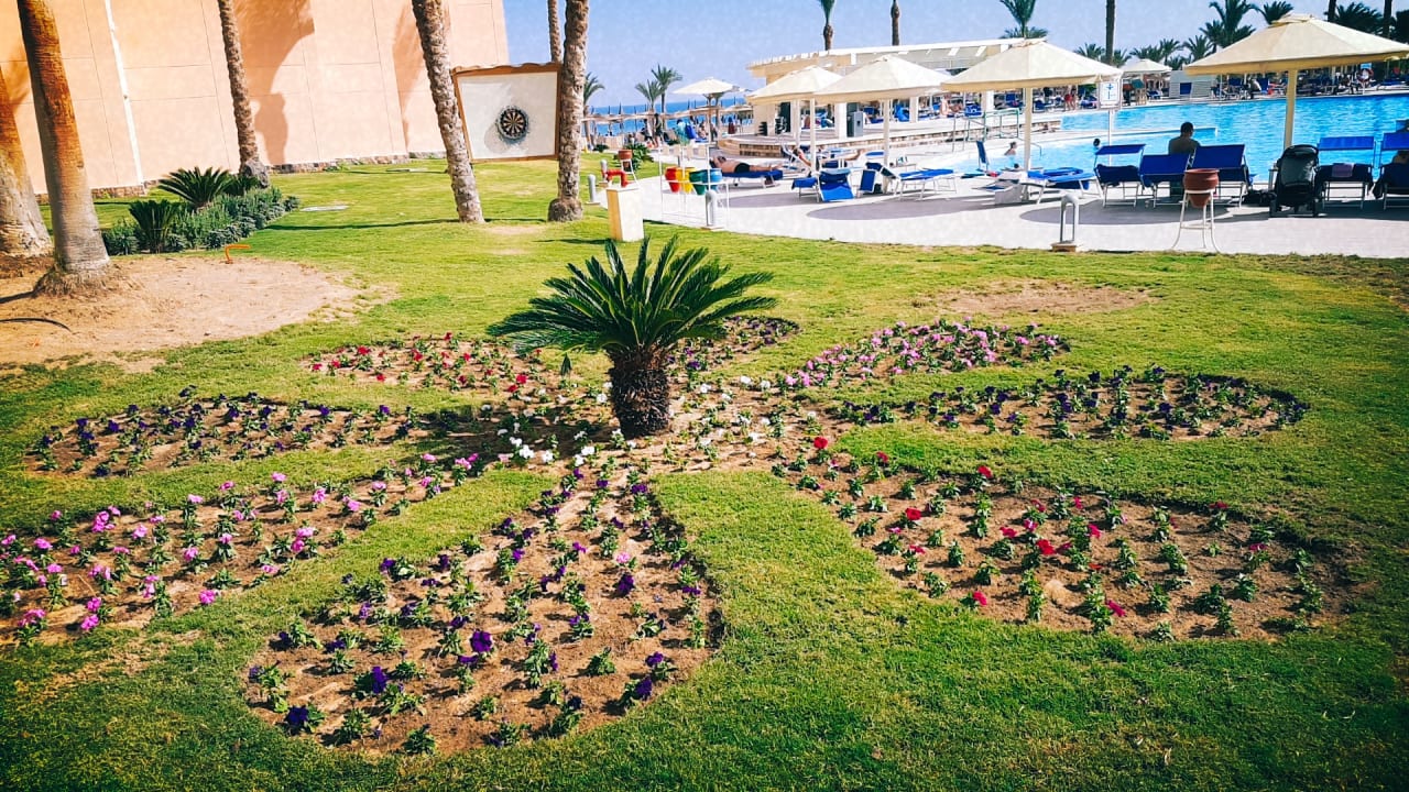 Pool Beach Albatros Resort