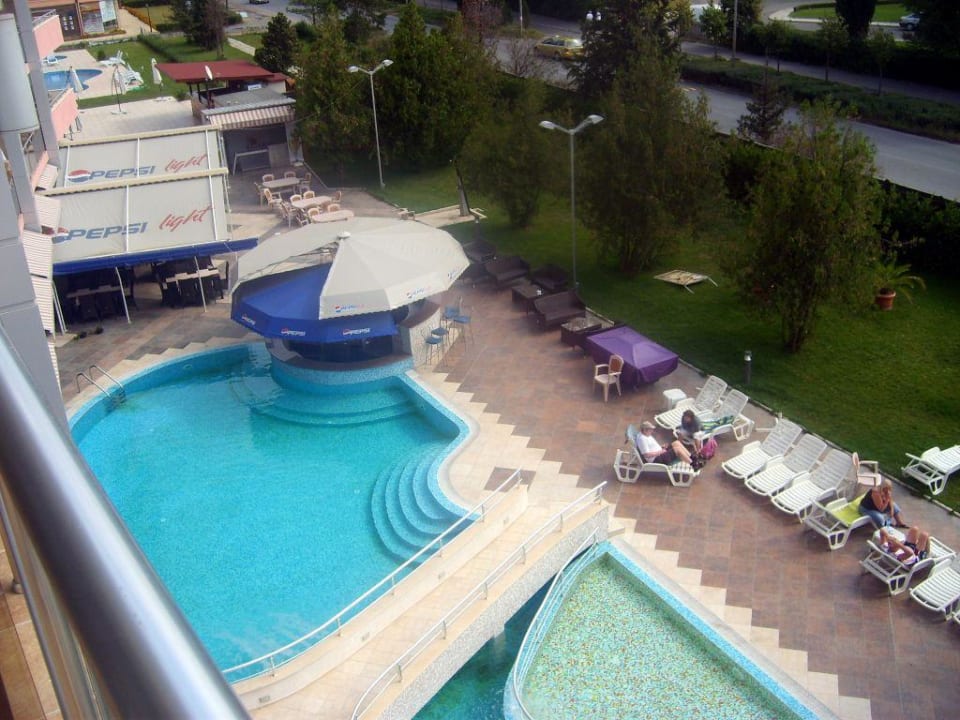 Pool Flamingo Hotel