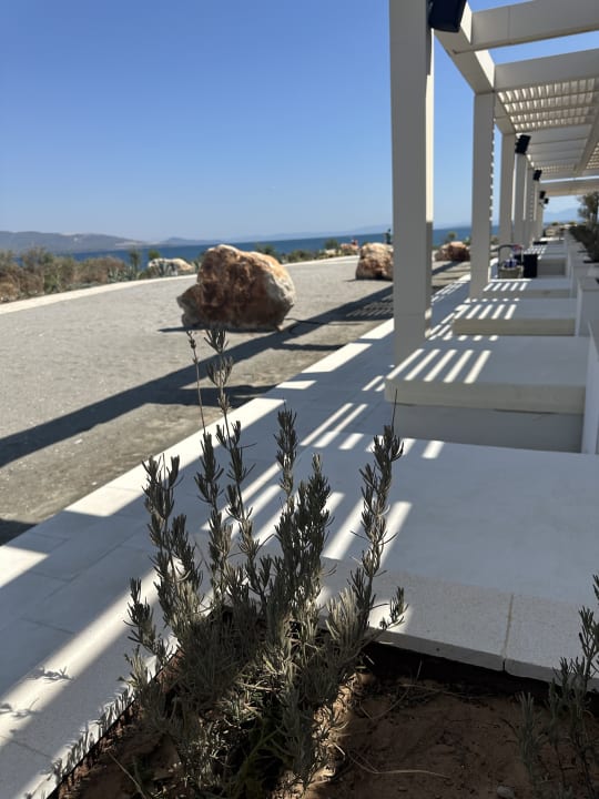 Gastro Anda Barut Collection