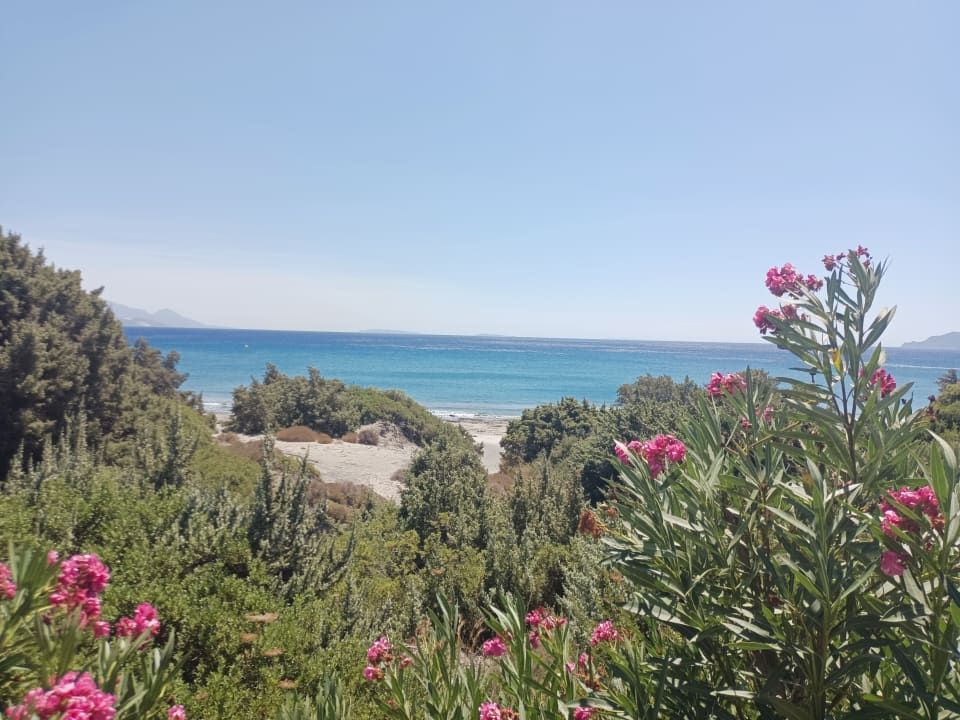 Ausblick Blue Lagoon Village