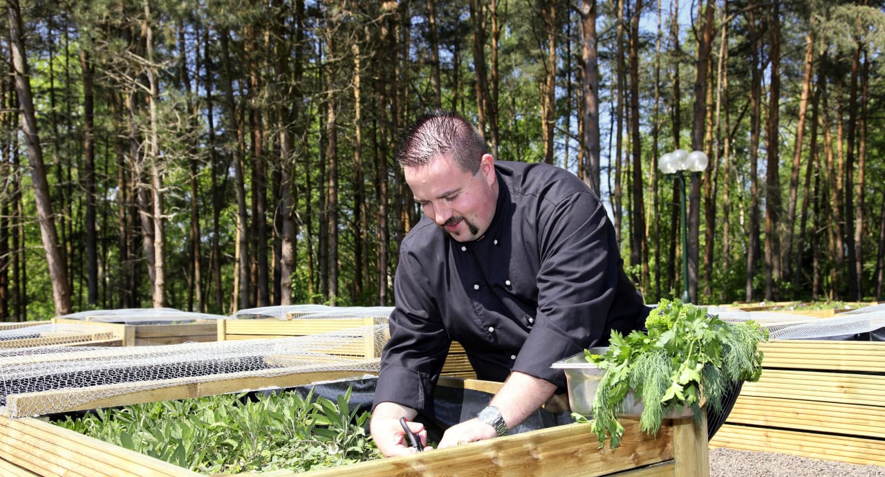 Chefkoch erntet Kräuter Van der Valk Naturresort Drewitz