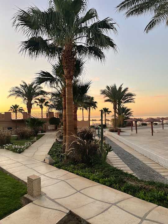 Gartenanlage Shams Prestige Abu Soma-Adults Only