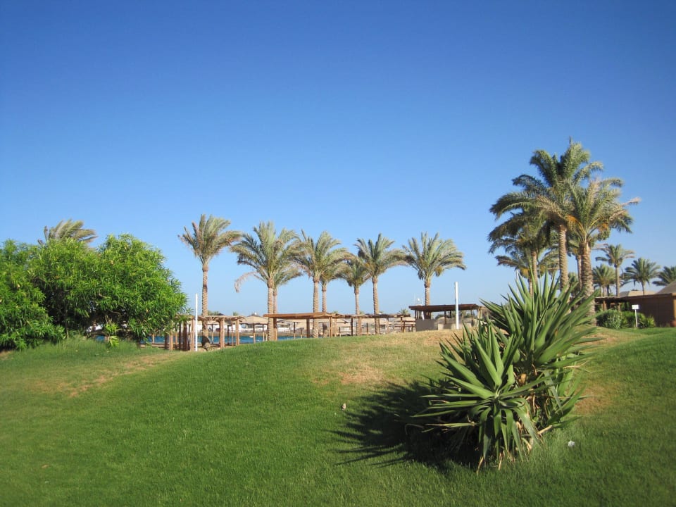 Steigenberger al Dau Beach Hotel Steigenberger ALDAU Beach Hotel