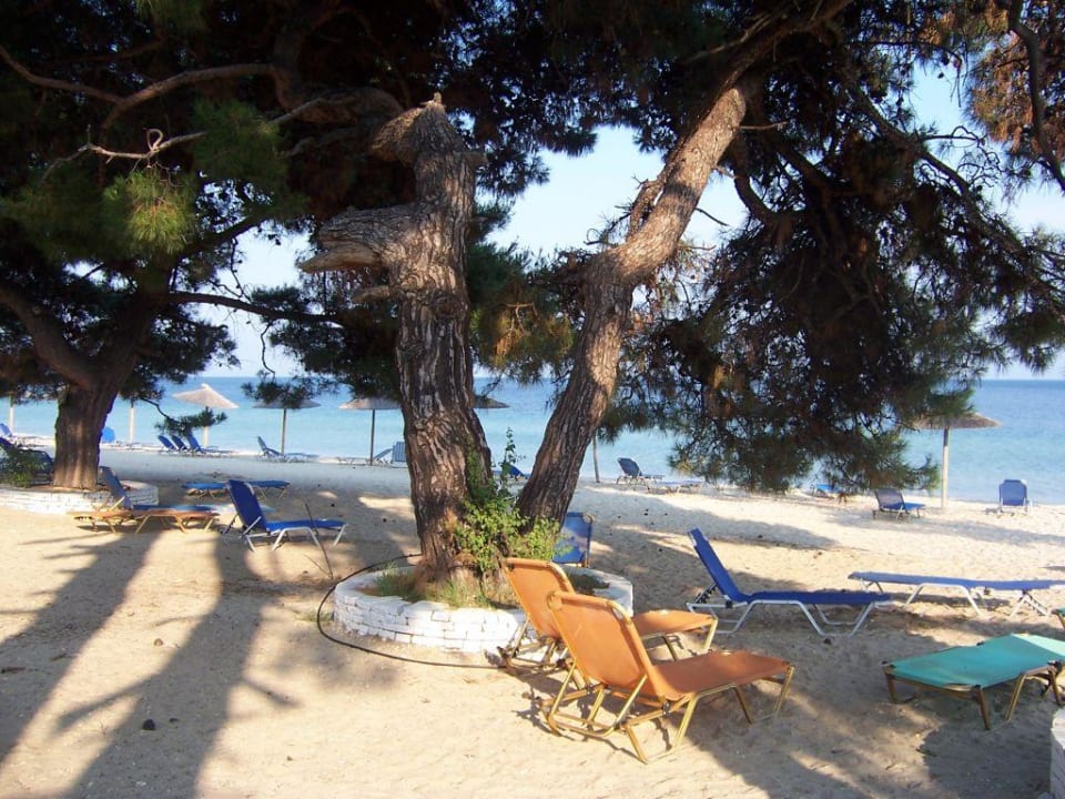 The beach Hotel Pachis Beach