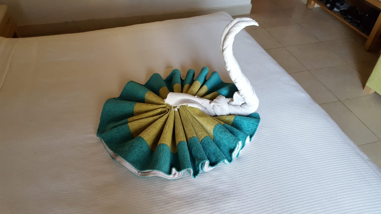 Zimmer Shams Alam Beach Resort